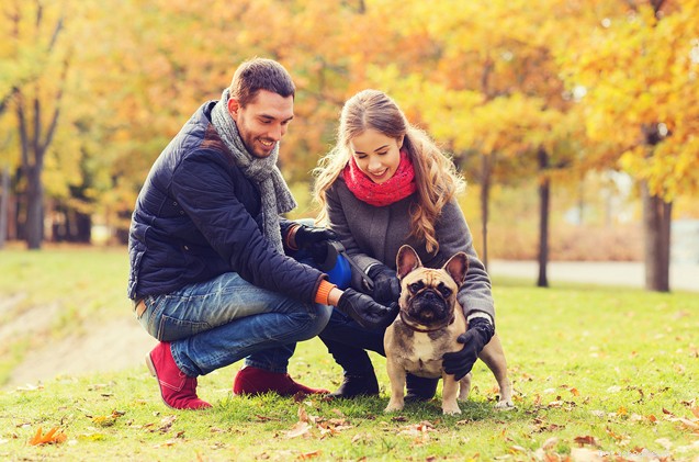 6 frågor att ställa innan du adopterar en hund med din partner