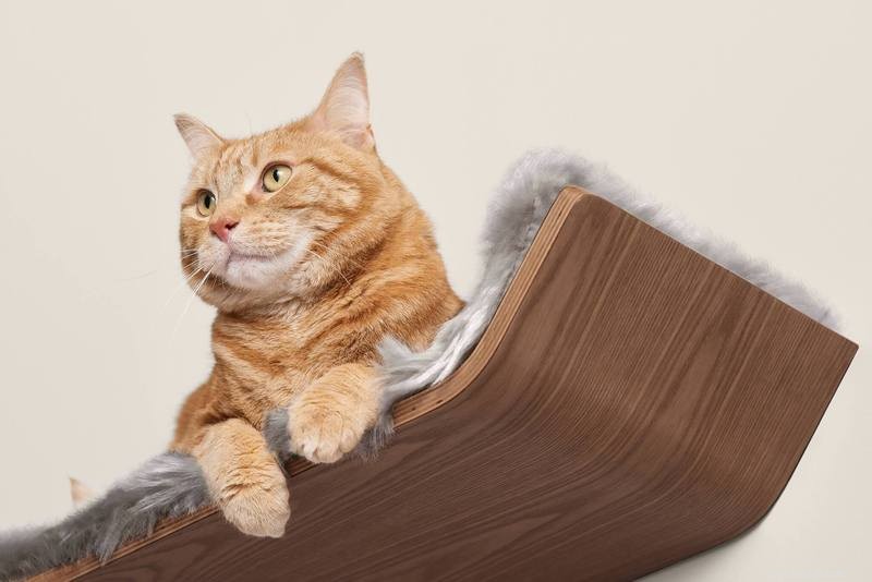 10 nápadů na design pro majitele koček na malých místech