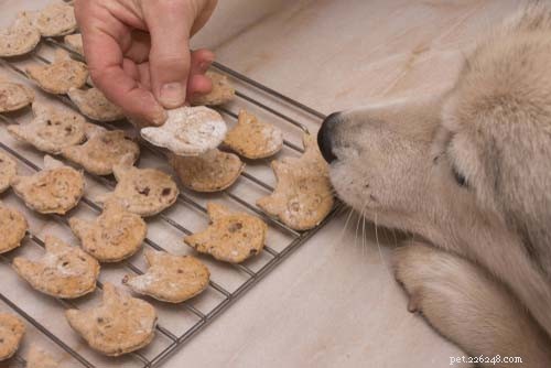 20 receptů na chutné domácí vánoční pamlsky pro psa