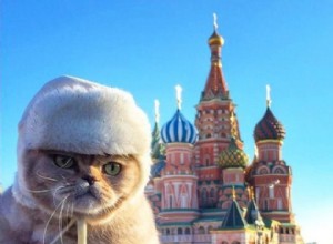 121 jmen ruských koček