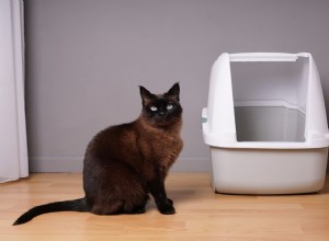Лучшие дезодоранты для кошачьих туалетов в 2022 году
