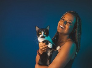 Le donne single amano davvero i gatti più delle altre persone?