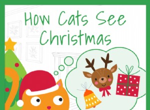 Infografica:come i gatti vedono il Natale