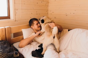 Why Does My Dog Lick My Belly Button? Insights & Health Tips