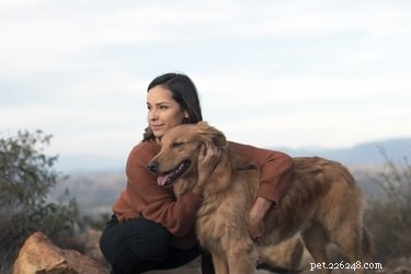 Why Your Dog Dislikes Some Dogs – Signs, Causes & Solutions