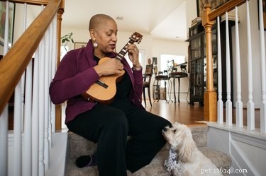 Do Dogs Sing? The Science Behind Their Melodic Howls