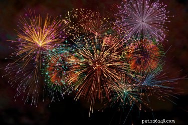 Calm Your Dog During Fireworks: Proven Strategies for a Safe Fourth of July