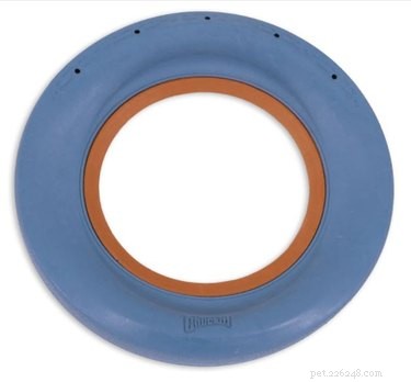 Top 5 Floating Dog Toys for Pool & Beach Play – Safe, Durable, and Fun