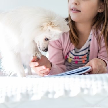 Choosing the Right Dog for Families with Children