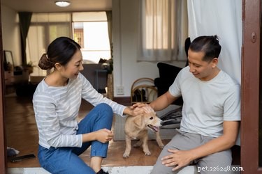 Your First Week with a New Dog: Essential Steps for a Smooth Transition