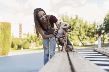 Can Dogs Respond to Multiple Names? Understanding Name Recognition in Pets