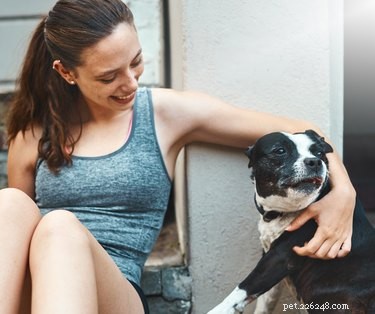 Can Dogs Respond to Multiple Names? Understanding Name Recognition in Pets