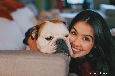 Can You Over-Pet a Dog? Signs & Safe Ways to Show Affection