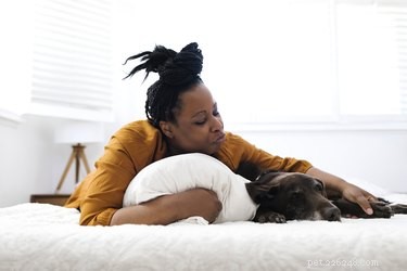 Can You Over-Pet a Dog? Signs & Safe Ways to Show Affection