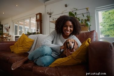 Understanding Why Dogs Pant When Excited: The Science Behind Their Cooling Mechanism