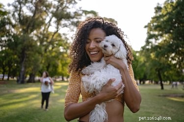 Why Won’t My Dog Cuddle With Me? Understanding Your Dog’s Love Language