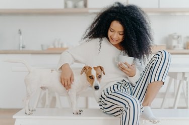 Should You Bid Farewell to Your Dog When Leaving Home?