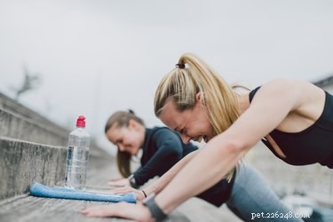 Why Do Pets Interrupt Your Workouts? Find Out Why & How to Stop It