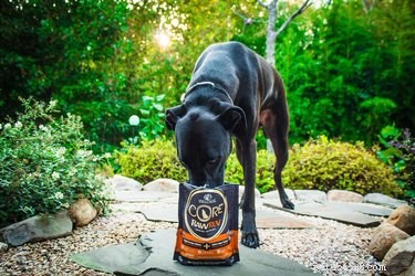5 Surprising Behaviors Dogs Exhibit Around Their Meals
