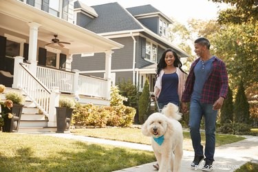 Welcome Your Dog to a New Home: A Stress‑Free Guide