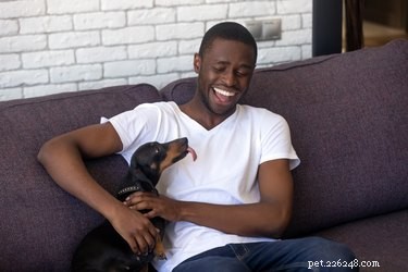 Why Does My Dog Urinate When I Pet Him? Common Causes & Solutions