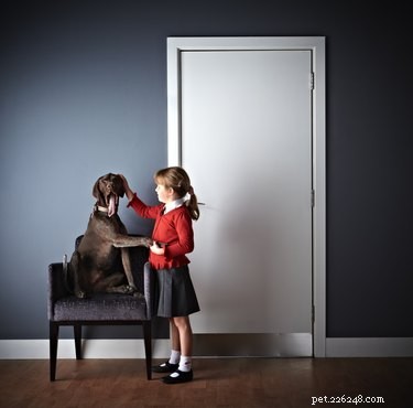 The Critical Role of Setting Boundaries with Your Dog