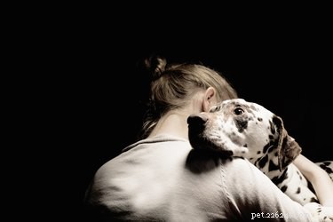Can Your Dog Detect When You re Feeling Sad?