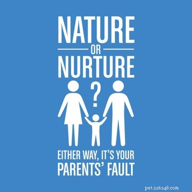 Nature vs. Nurture: What Shapes a Dog s Personality?