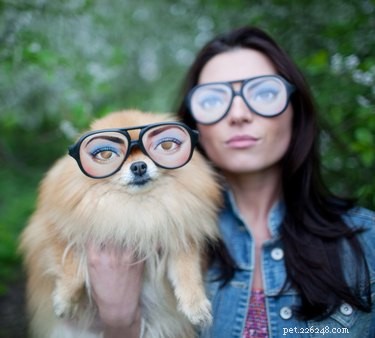 Nature vs. Nurture: What Shapes a Dog s Personality?