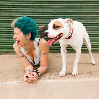 Nature vs. Nurture: What Shapes a Dog s Personality?