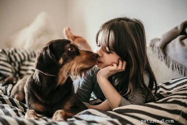 Why Some Dogs Show Extra Affection Toward Babies – The Science Behind Their Loving Behavior