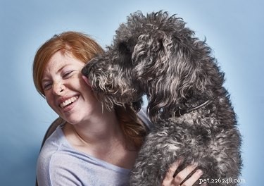 Why Does My Dog Lick My Face? Uncovering the Truth Behind Their Licks
