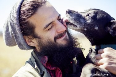Why Does My Dog Lick My Face? Uncovering the Truth Behind Their Licks