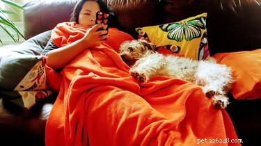 Relieve Your Dog’s Thunder Anxiety: Quick, Gentle Strategies