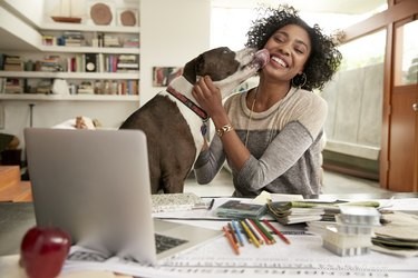 How Dogs Form Strong Bonds With Their Packmates