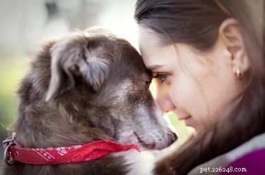 The Science Behind Why Humans Love Dogs