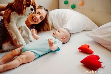 The Science Behind Why Humans Love Dogs