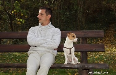Can a Dog Truly Lose Its Love for Its Owner?