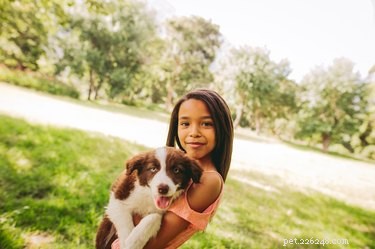 What Your Dog’s Behavior Reveals About You