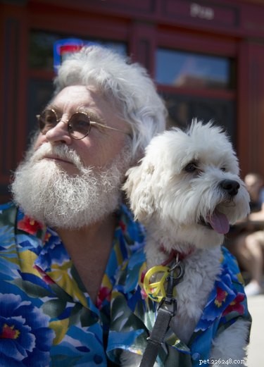 What Your Dog’s Behavior Reveals About You
