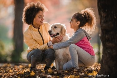 What Your Dog’s Behavior Reveals About You