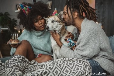 Do Dogs Truly Love Us or Just the Treats?