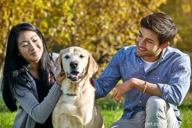 Do Dogs Truly Love Us or Just the Treats?