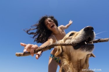Do Dogs Truly Love Us or Just the Treats?