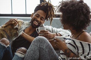 Can Talking to Your Dog Boost Their Happiness? Scientific Insights
