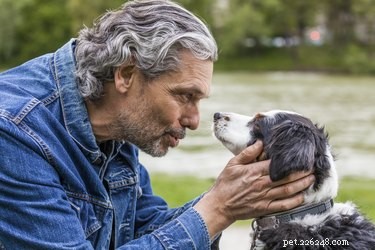 Can Talking to Your Dog Boost Their Happiness? Scientific Insights