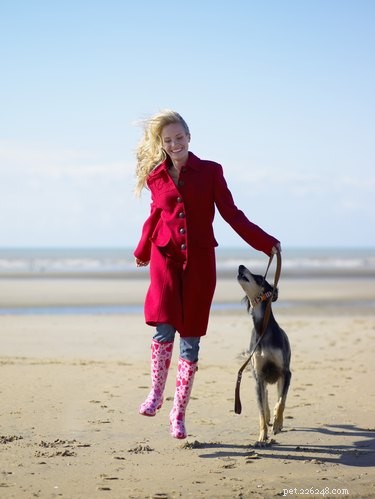 Do Dogs Really Miss Their Owners When They’re Away?