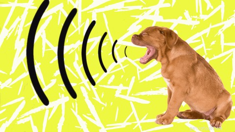 Understanding Why Dogs Bark at Cars: Causes & Solutions