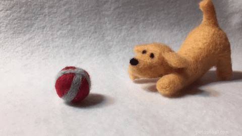 Why Do Dogs Prefer Certain Toys? Insights into Their Choices