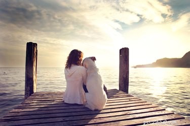 Dogs Share More Human‑Like Behaviors Than Any Other Species